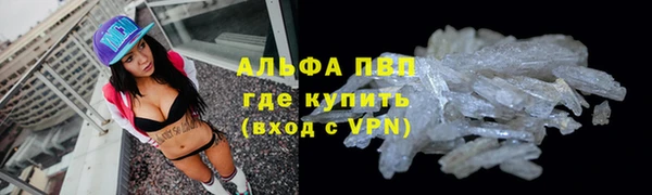 гашик Абаза