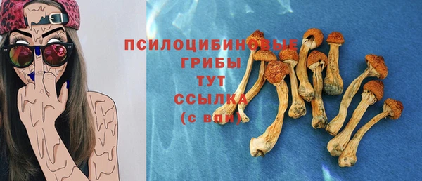 гашик Абаза