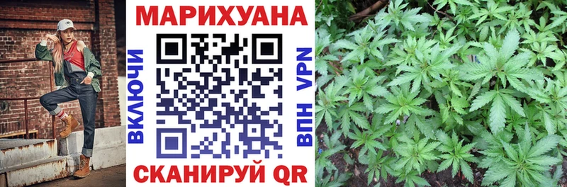 Канабис сатива Полярный